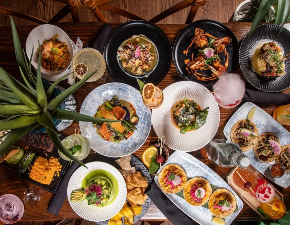 Bocaditos food spread for Where to Celebrate Hispanic Heritage Month in Chicago