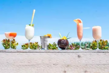 Image for Shore Club returns to North Avenue Beach May 11, With Frozen Drinks and Grab and Go Options