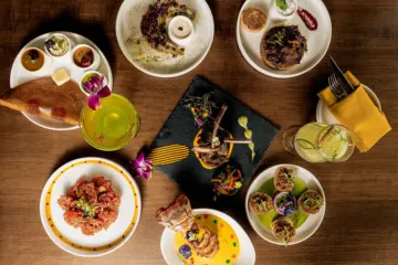 Madurai Kitchen Kristen Mendiola Media 70 for Now Open: Woman Owned Madurai Kitchen & Bar Brings South Indian Cuisine to Glenview
