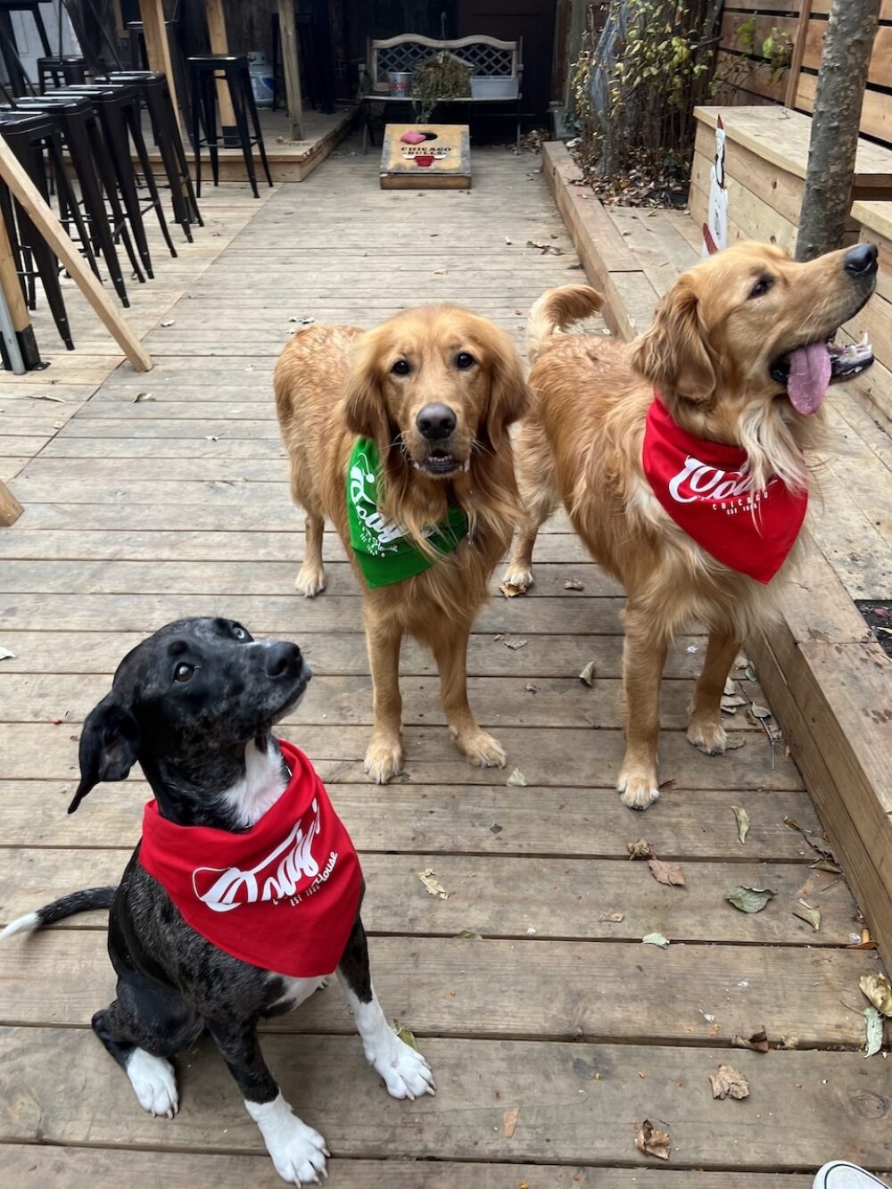 Image for Where to Watch the Kentucky Derby 2026