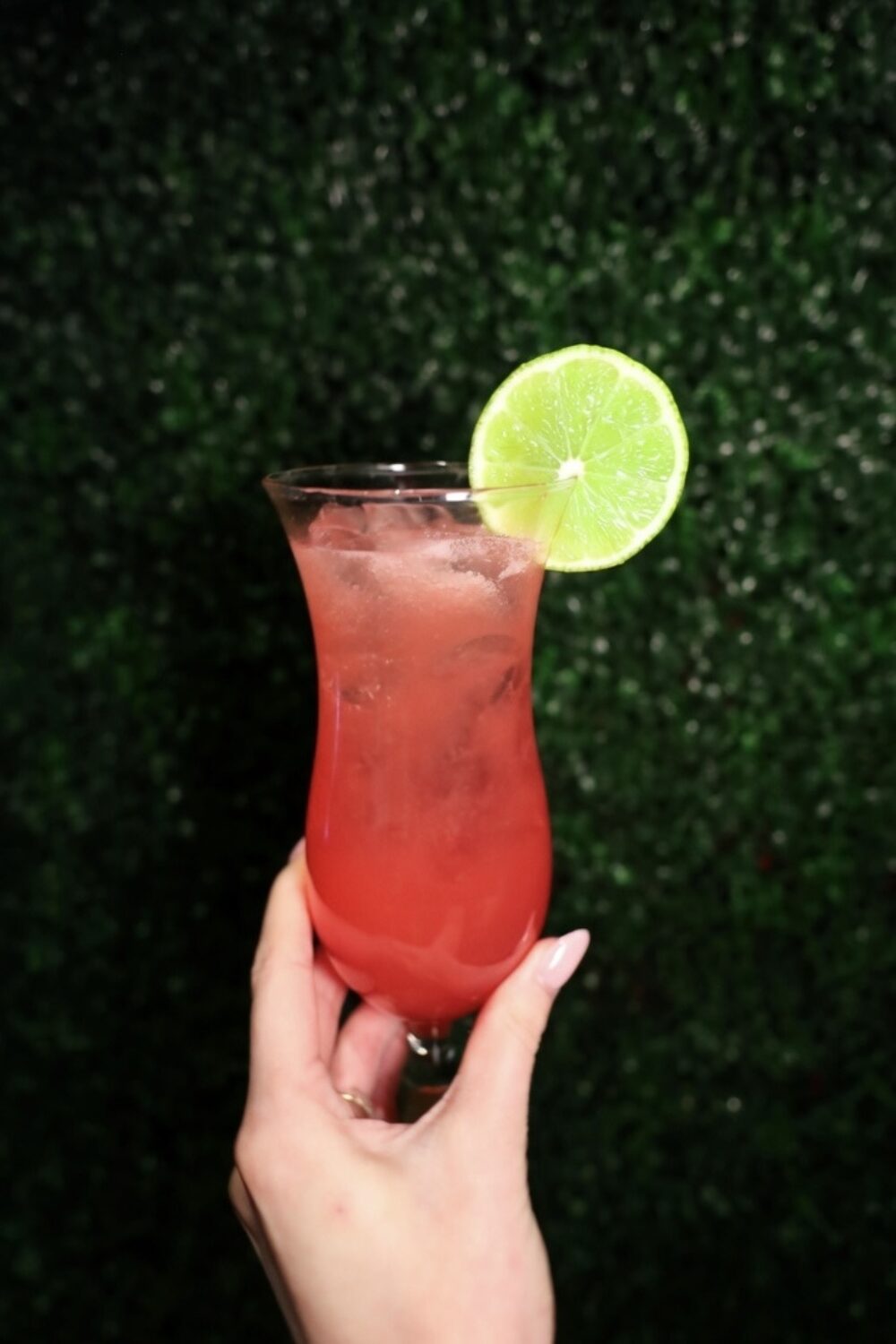 Pink Pony Margarita 1 PC Kings for Where to Celebrate Cinco de Mayo 2026