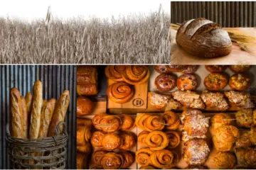 Screen Shot 2015 04 15 at 3.50.10 PM for Organic Farming and Bread Making Field Trip led by Hewn and Hazzard Free Farm