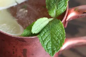 Mezcal 2 for Mezcal Class at De Noche Mexicana
