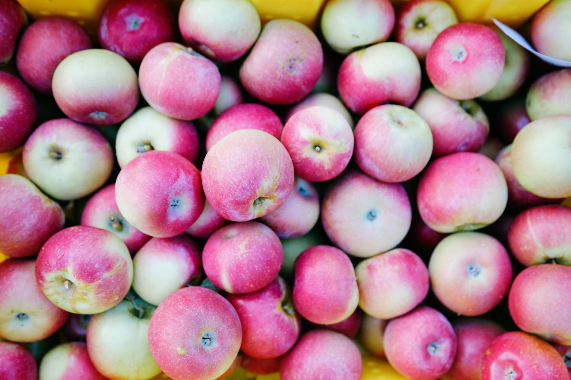 Image for Green City Market to Operate Winter Market in Avondale After Two Year Pandemic Pause