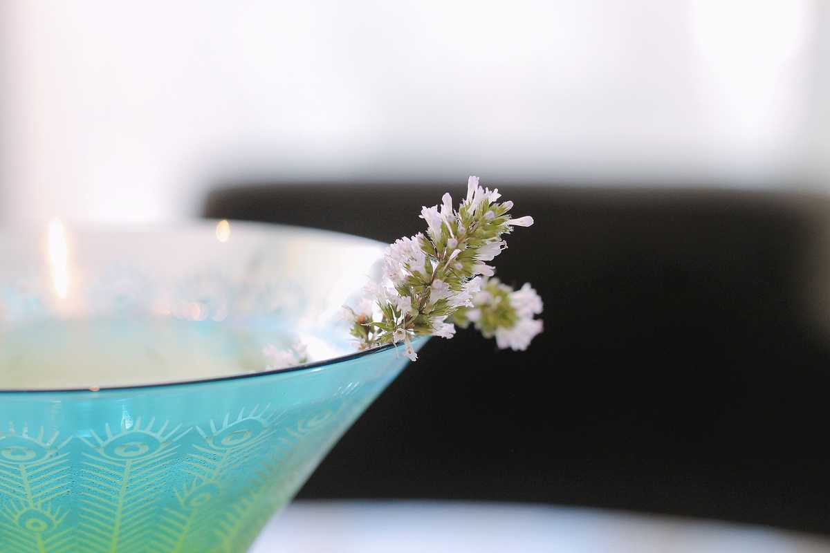 Image for Z Bar's Wanderlust Series Welcomes Spring With Floral Spirits, White Wine & Gin