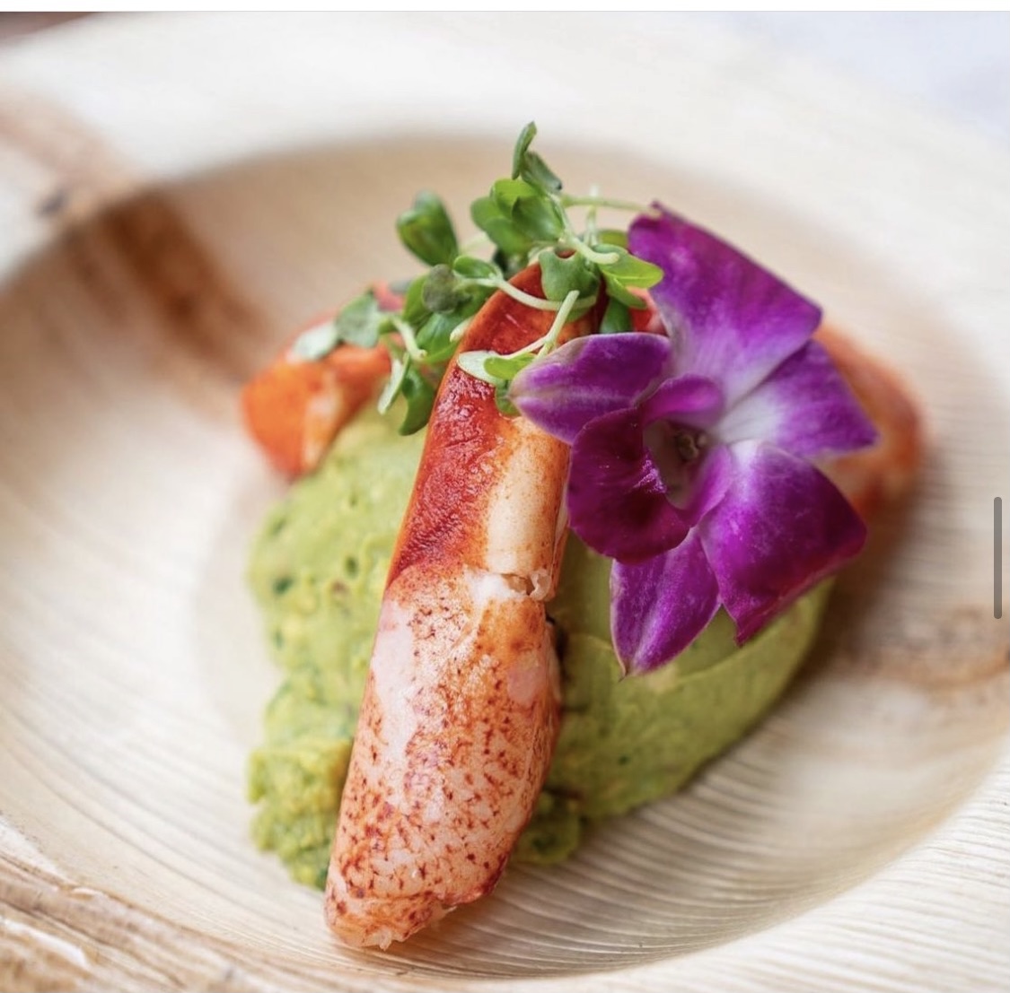 Divercrabshot for Diver Cantina on the Shore Opens March 22 in Downtown Highland Park