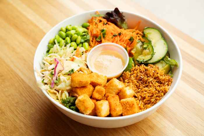 Elephantand Vine2023 09 07 2 for Chicago's Sustainable Dining Destinations for Earth Month