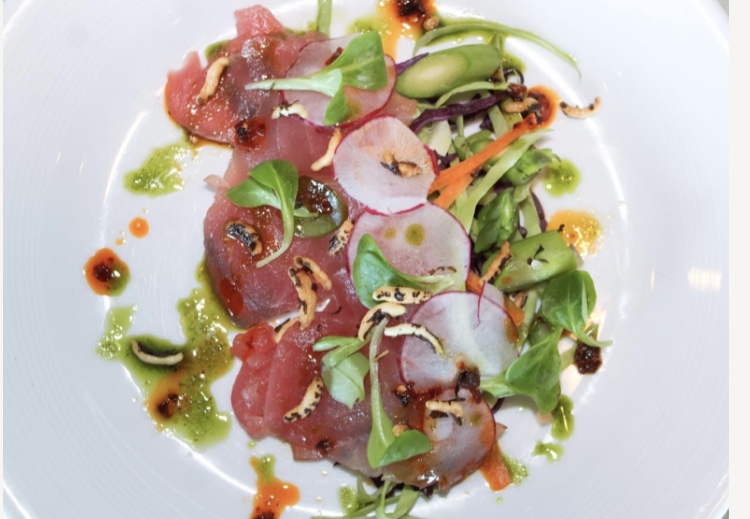 Image for Hyatt Lodge Oak Brook Hosts Macallan Scotch Tasting Event September 17