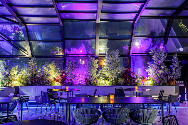 Galdophoto 02 November2021 The J Parker Hg002 for New Jazz Nights at The J. Parker