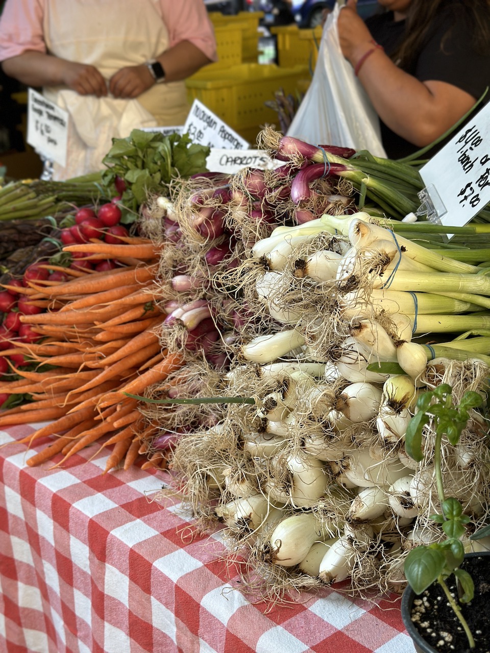 Image for South Loop Farmers Market to Launch Indoors January March at Roosevelt Collection