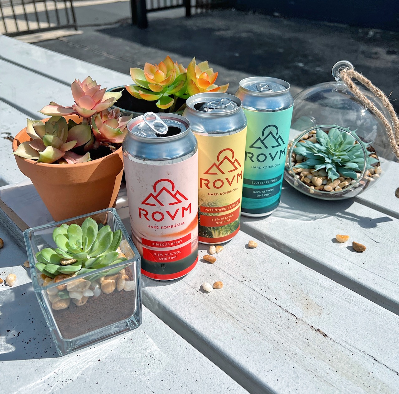 Image for ROVM to Celebrate One Year Anniversary at Pilot Project, April 22