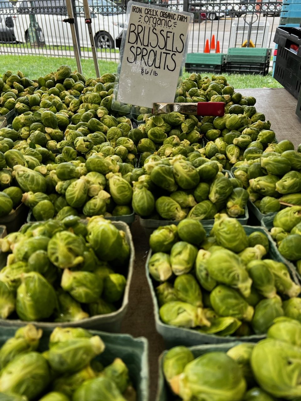 Image for Wicker Park Farmers Market 2024 Summer Season Launches May 5th