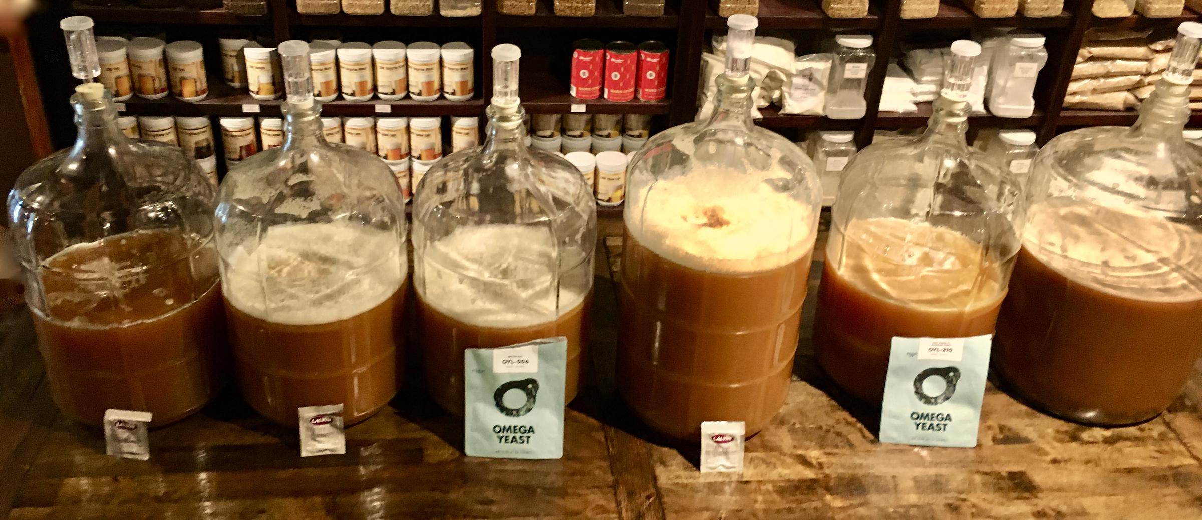 Image for Gnome Brew Celebrates 3rd Annual Cider Day, October 23