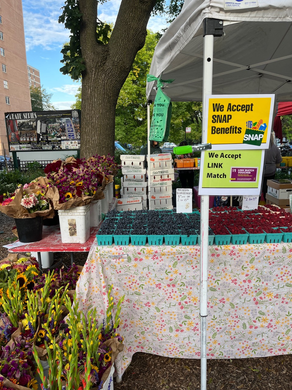 Image for Wicker Park Farmers Market Launches New Tuesday Night Market