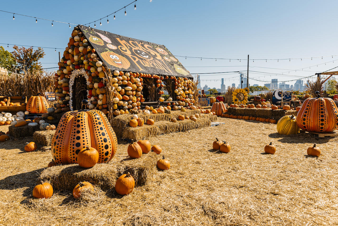 Jacks Pop Up 50 2 for Jack’s Pumpkin Pop Up Is Back for its 5th Anniversary