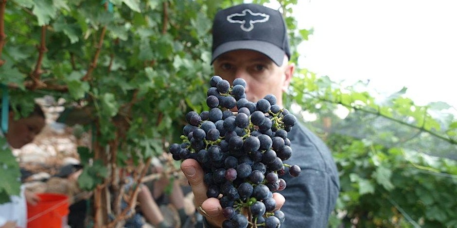 Lure Wine Event for Lure Fishbar to Host Caduceus Vineyards Wine Takeover on May 1