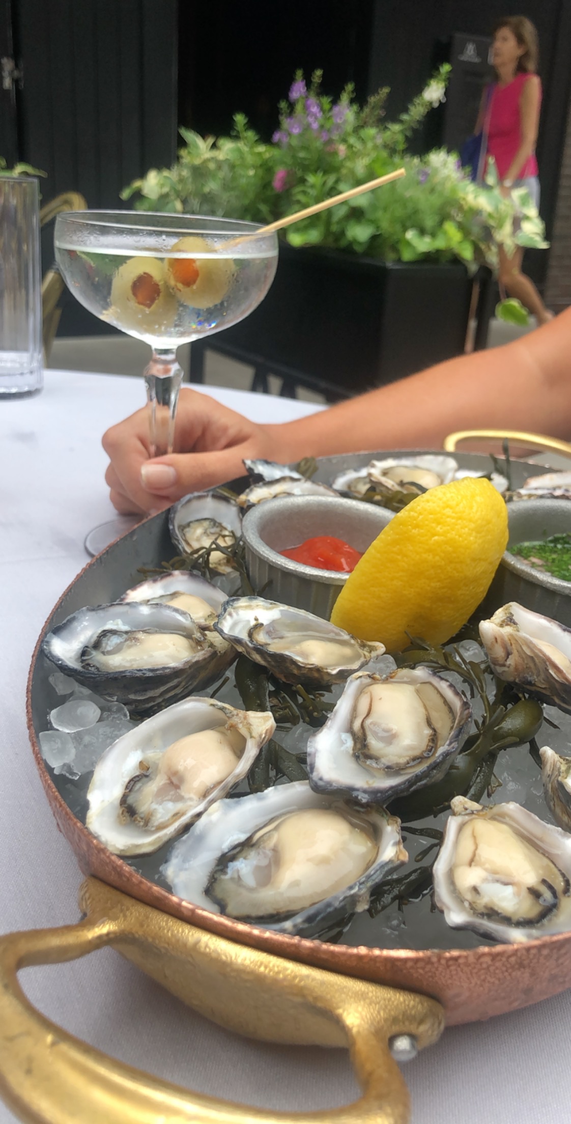 Maple Ash Oysters 1 for Mavens & Aficionados Hosting Antinori Wine Dinner August 13 and 8 Bar Launches New Happy Hour