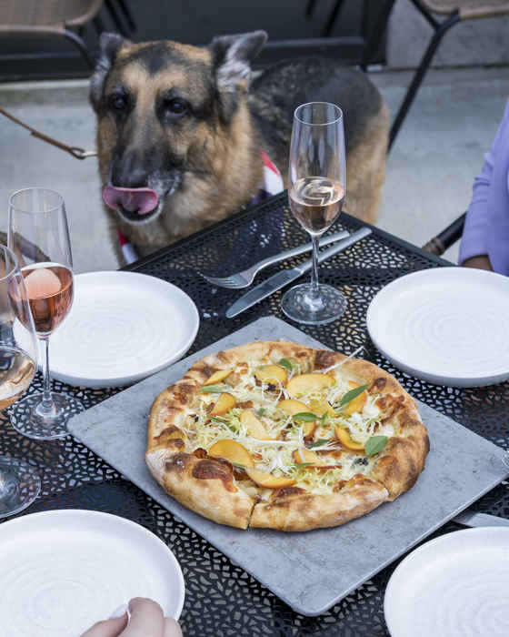 Onward Dog Patio 2 for Onward Debuts Doggie Dining with a Cause and New Patio