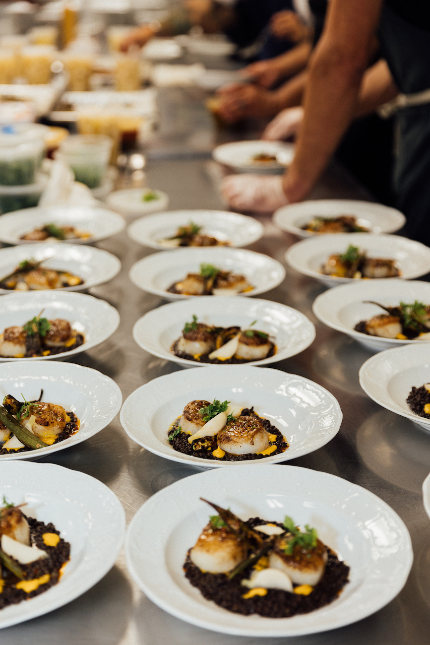 Pilot Light Gala2023 Seared Main Scallops Chef Erick Williamscourse for Pilot Light Announces Celebrity Host for Feed Your Mind Gala on November 1