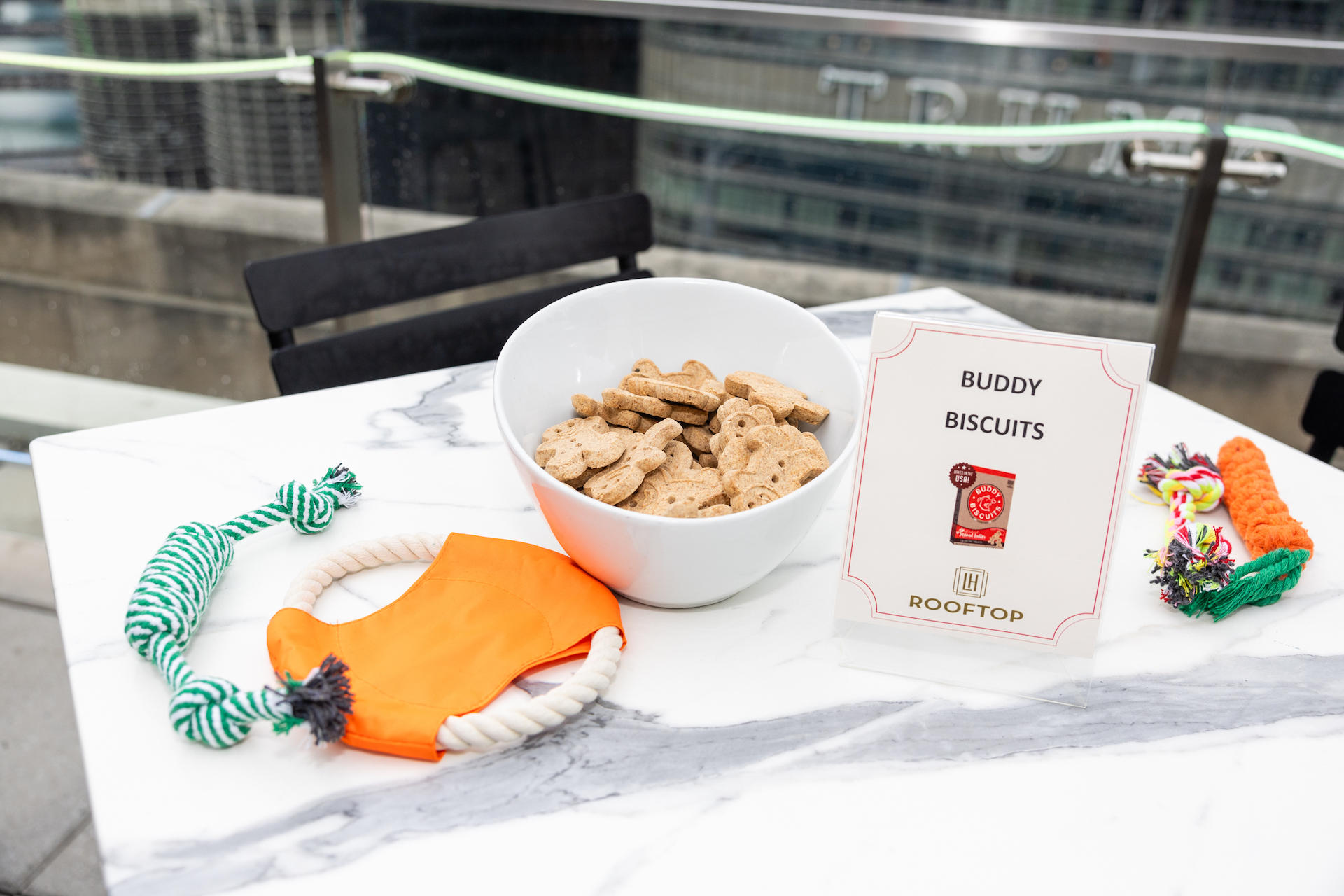 Image for LondonHouse Chicago Hosts Second Annual 'Wooftop Pawty' on August 24