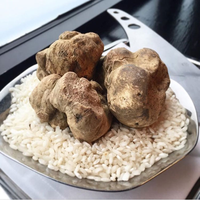 RPM Steak Truffles for Krug Champagne. White Truffles. RPM Steak.