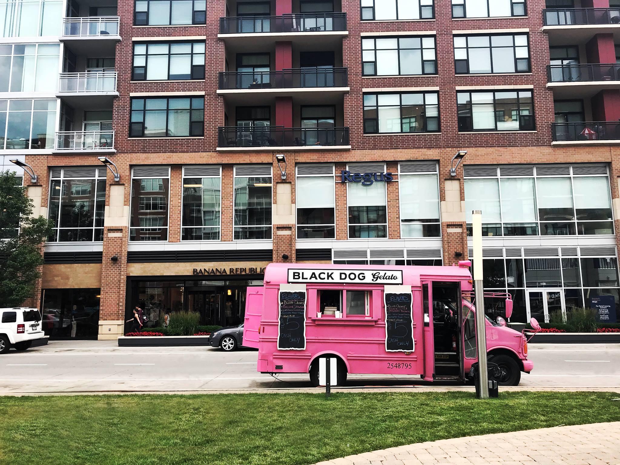 Roosevelt Collection Black Dog Gelato for Gelato Truck Thursdays with Black Dog Gelato
