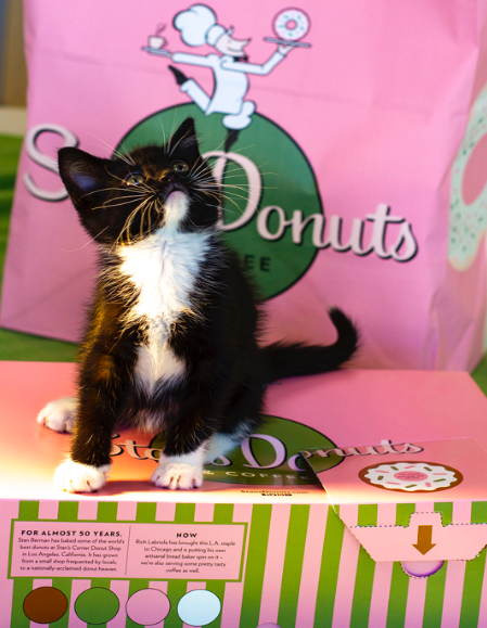 Screen Shot 2019 10 15 At 11 48 58 Am for Stan's Donuts & Coffee Joins Forces with Tree House Humane Society