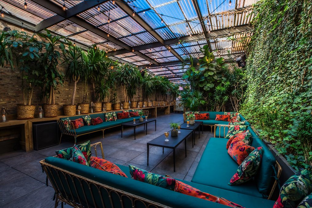 Screen Shot 2020 08 04 At 12 00 57 Pm for Celeste & DISCO Present Summer Music Series