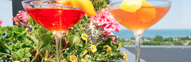 Screen Shot 2021 06 14 At 3 48 04 Pm for New Summer Cocktails at The J. Parker