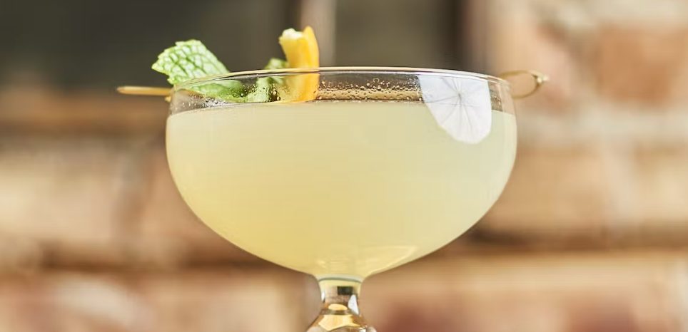 Screen Shot 2023 01 23 At 11 56 38 Am for "Love Potions" Cocktail Class at Timothy O'Toole's