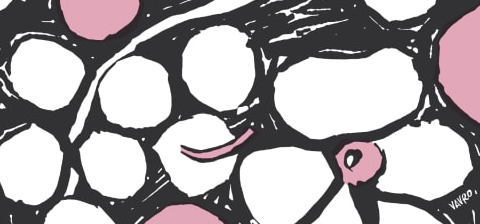 Screen Shot 2023 10 19 At 4 23 36 Pm for Beaujolais Nouveau Day at Le Sud