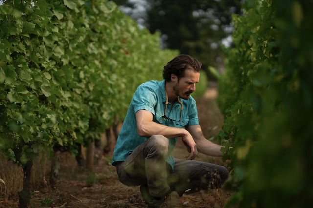 Image for Bazaar Meat by José Andrés Hosts Martin Woods Wine Dinner, March 29th