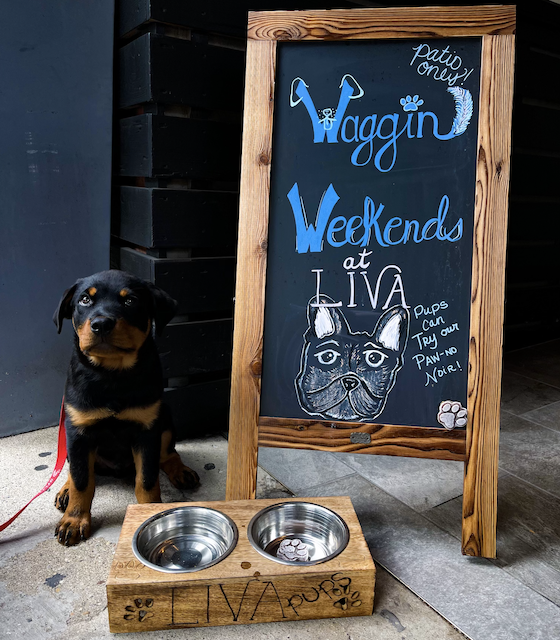 Image for LIVA at Chicago Winery Now Offers “Paw Not Noir” on Menu