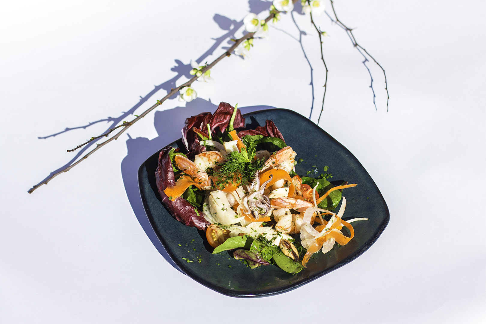 Shrimp Salad 1 for Avli On The Park Announces Chef