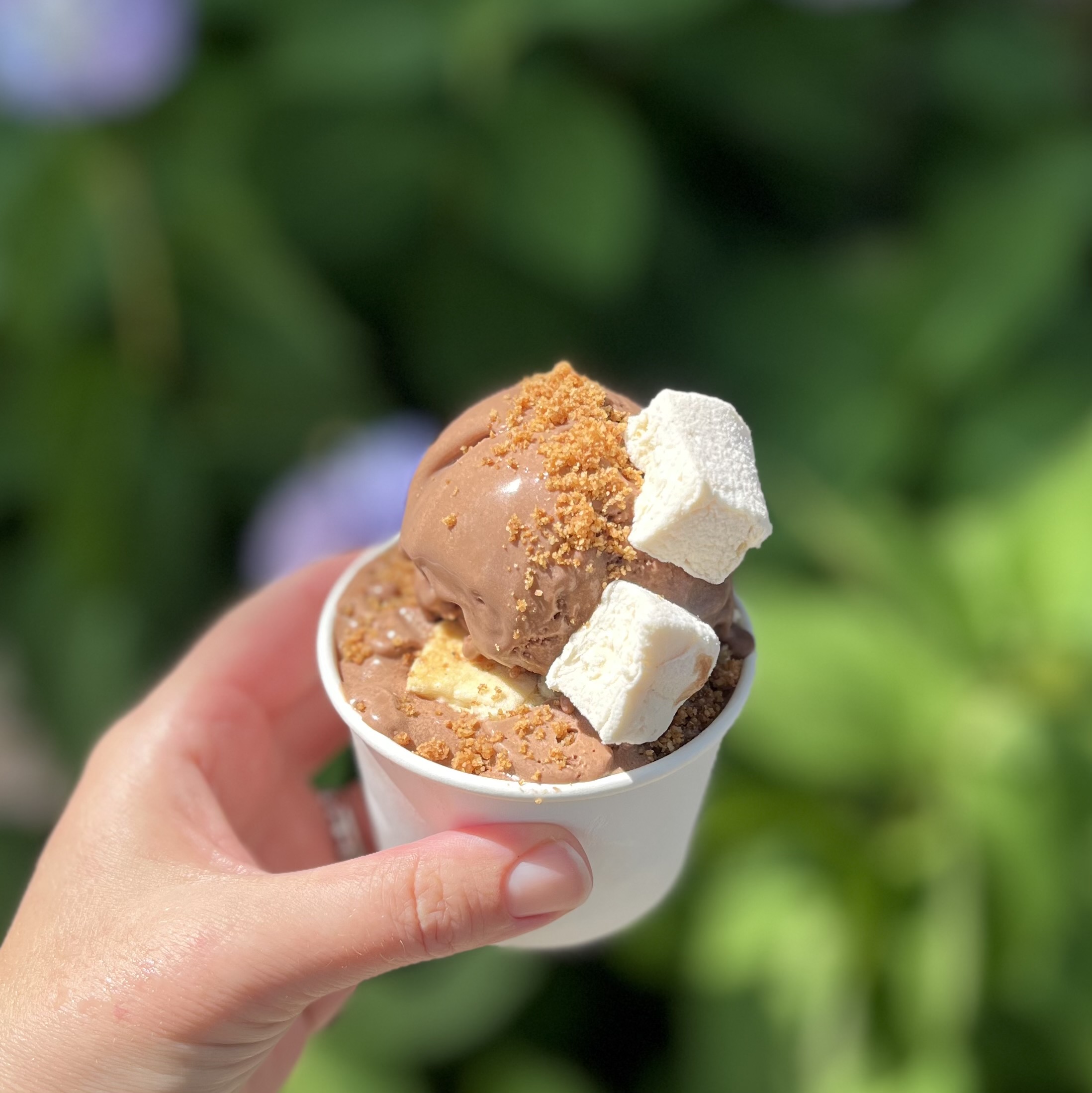 Smores Sundae for Ice Cream Pop Up and Fundraiser at Katherine Anne Confections, September 17th