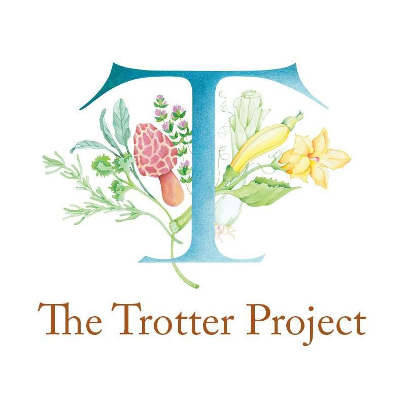 Tpp Logo for The Trotter Project Expands Scholarship Program for Promising Students