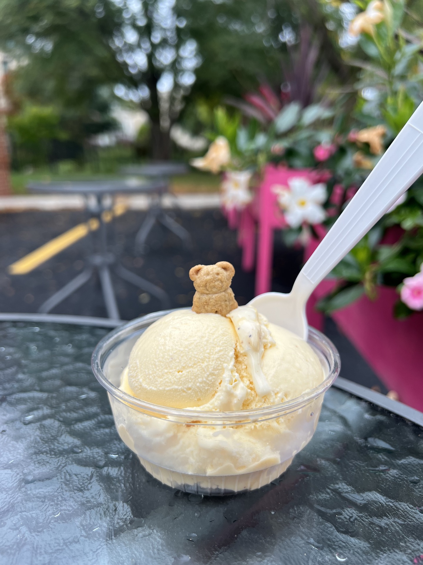 Teddys Ice Cream for Munch March Returns to Ravenswood April 18th