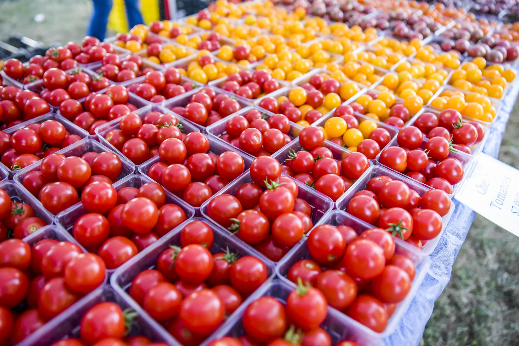 Wholesome Harvest Farm 7 for Green City Market Returns June 5 in West Loop; Announces COVID 19 Farmer Relief Fund