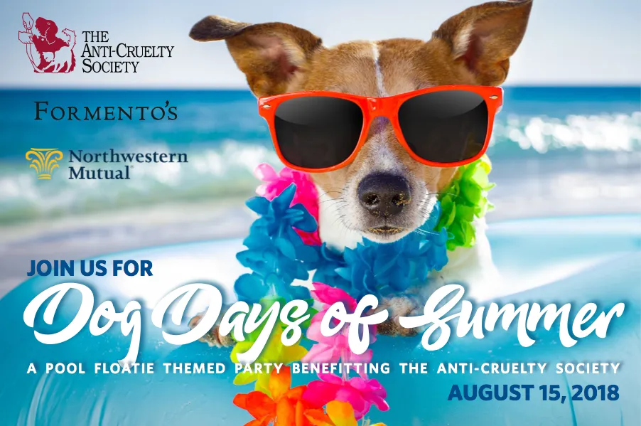 Dog Daysof Summer Graphic for Dog Days of Summer Event at Formento's, August 15