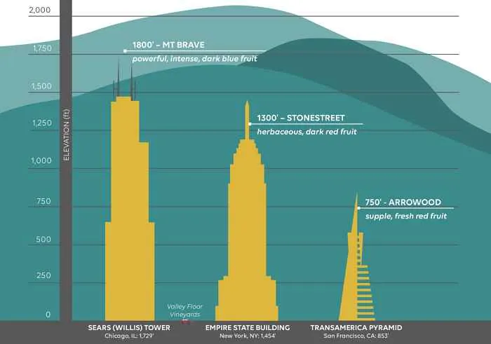 Elevate your wine knowledge.