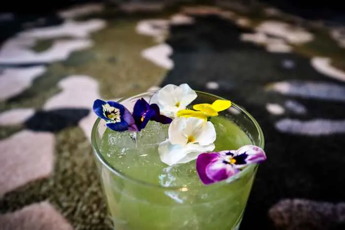 The Frida Kahlo Cocktail Photo Courtesy of Z Bar for International Women's Day Fundraisers & Specials in Chicago