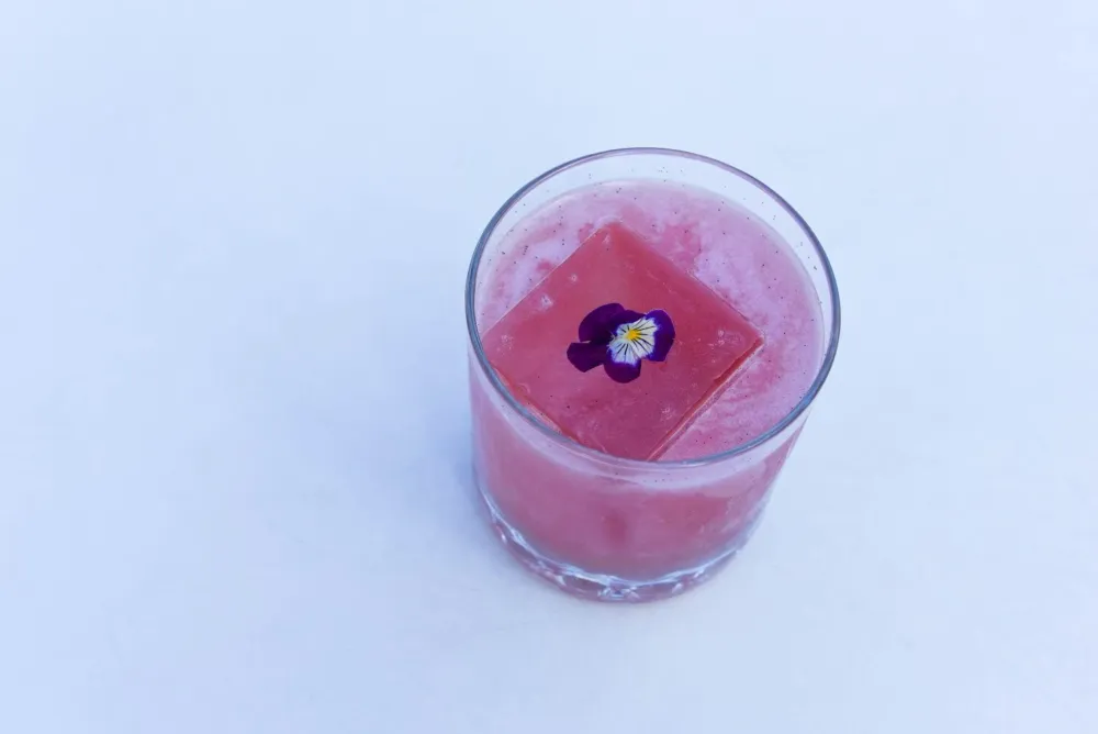 Courtesy of Noyane for Chicago Air & Water Show Viewing Parties & Specials