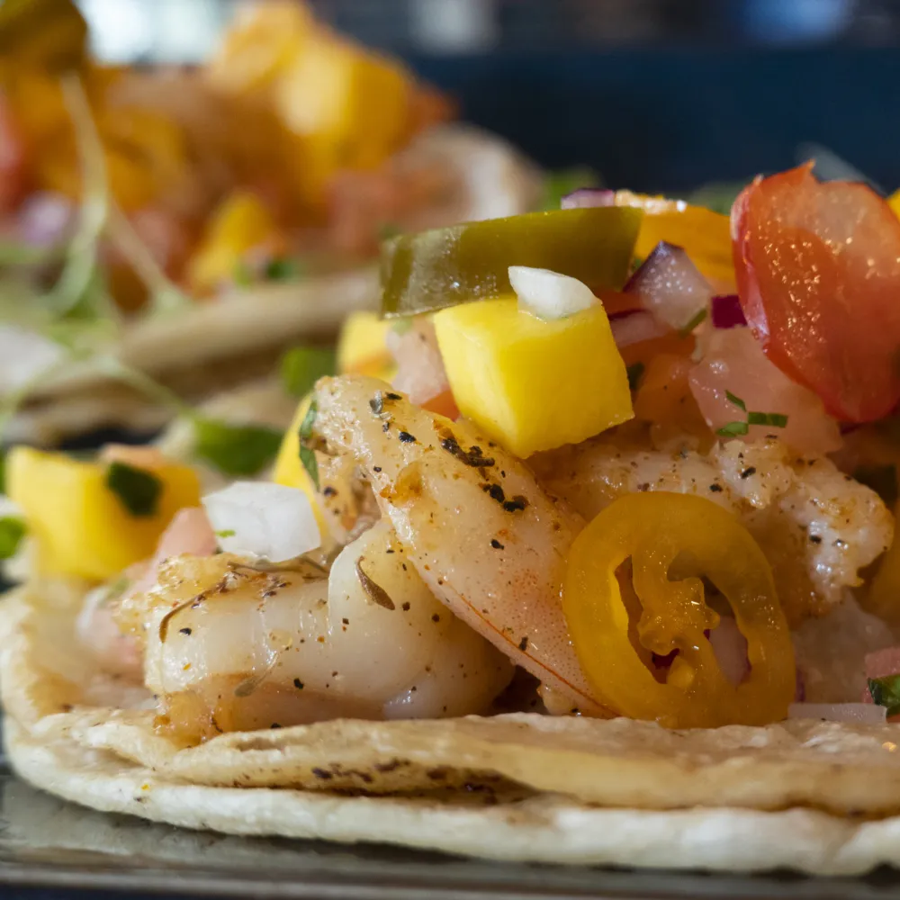 Taco Tuesdays at Red Fish Bleu Fish / Porkchop