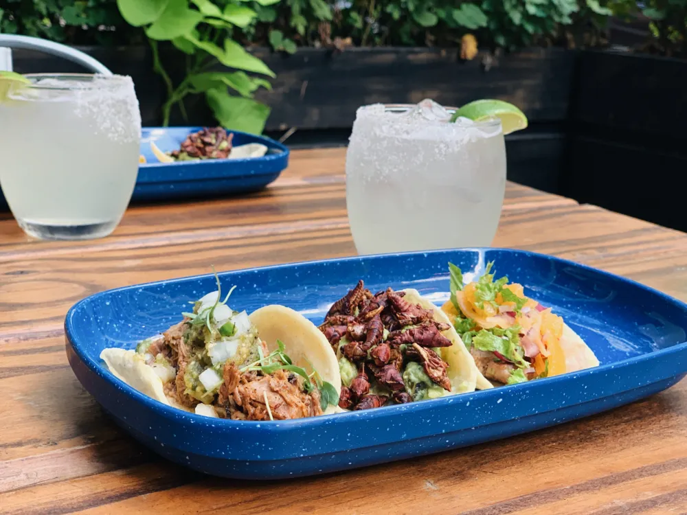 Courtesy of Mercadito for Where to Celebrate National Taco Day Around Chicago October 4