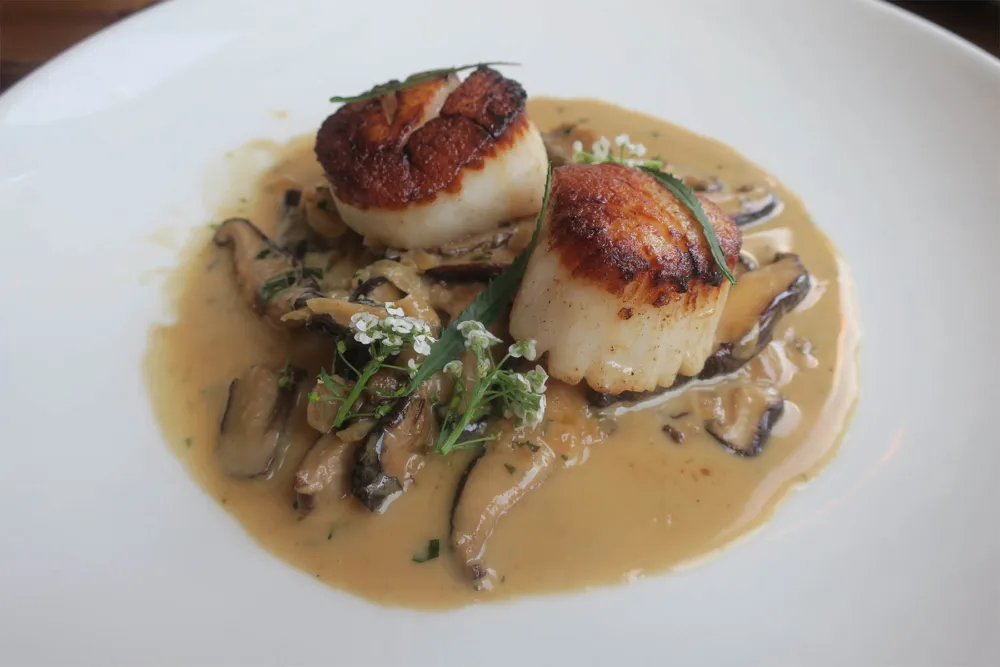 Roasted scallops, mushroom fricassee smoked seaweed butter​ for The Bristol Launches New B Sides Menu Series Feature: Mushrooms