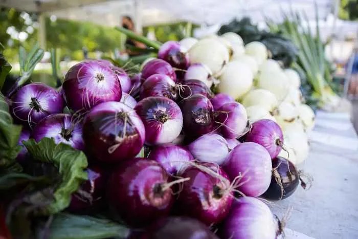 Green City Market will celebrate its return to Lincoln Park on Saturday, May 1, 2021. (Photo courtesy of Tess Graham Photography) for Save the Date for Chicago May Foodie Happenings