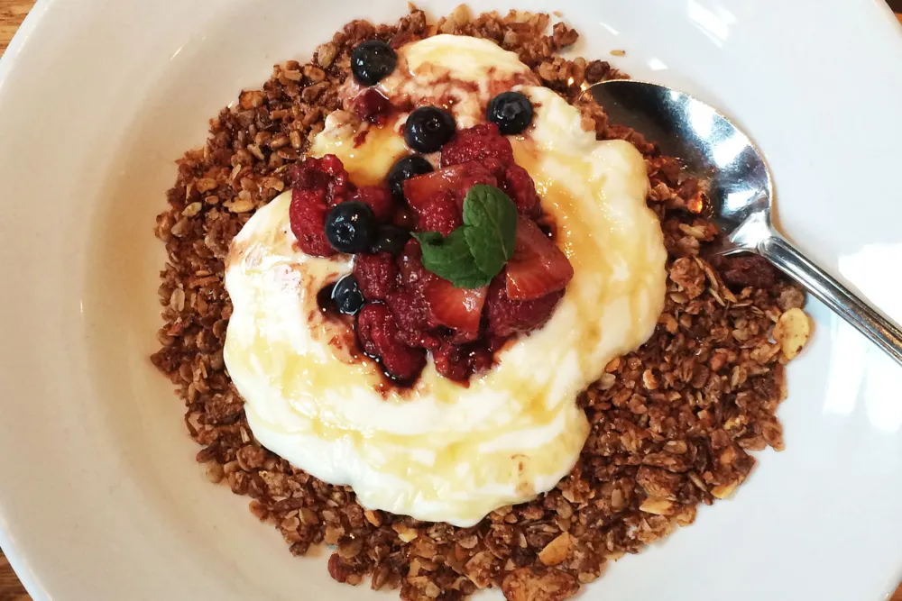 Berry Yogurt Crunch
