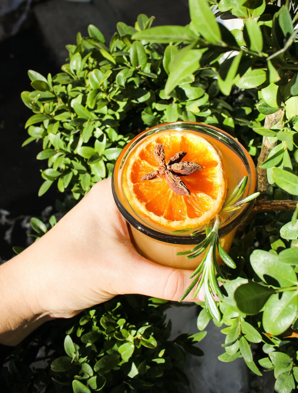 Image for As Winter Weather Arrives, Enjoy Seasonal Cocktails at Chicago's Restaurants and Bars