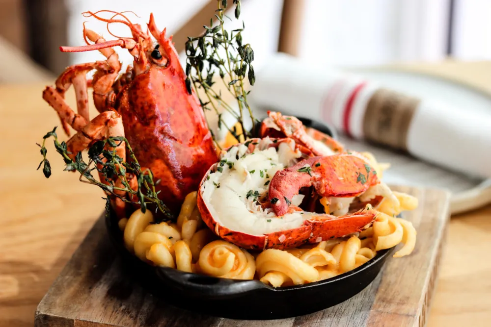 Lobster Macand Cheese02 1 for Where to Get the Ultimate Cheese Pull for National Mac & Cheese Day, July 14th