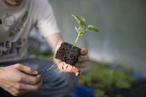Ken Myszka for Be A Better Chef: Use Local Produce